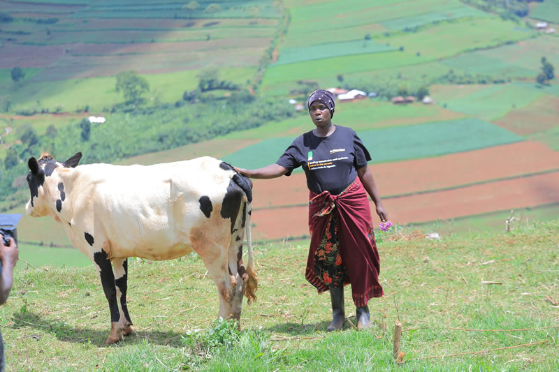 Agribusiness Guarantee